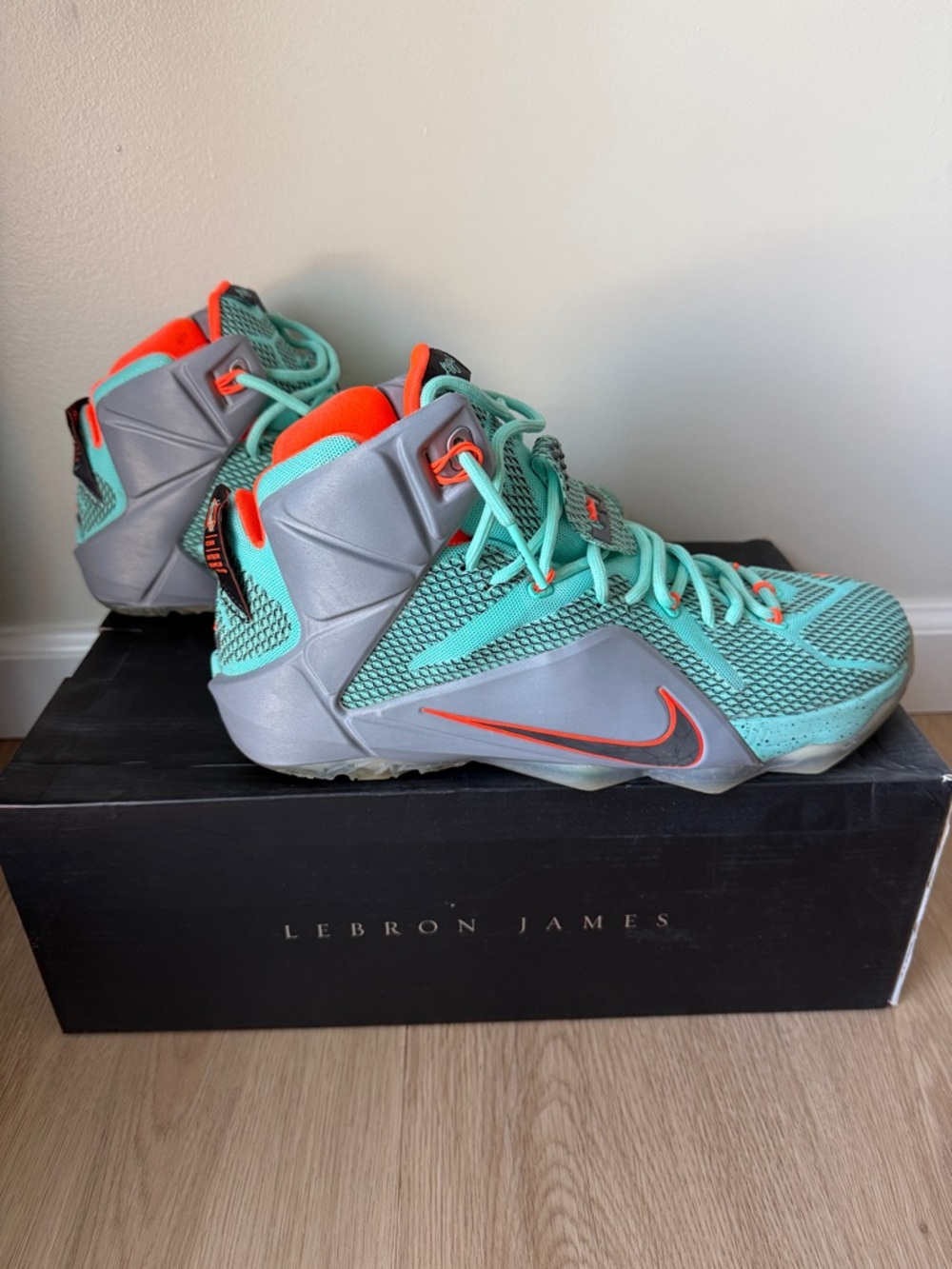 Nike LeBron 12 NSRL - Men’s Size 11.5